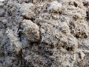 Bloque de Residuos Agrícolas de Bagazo y Caña para Agricultura Sostenible, Marca GIA GIA NGUYEN CO. LTD Vietnam - Product Image 2