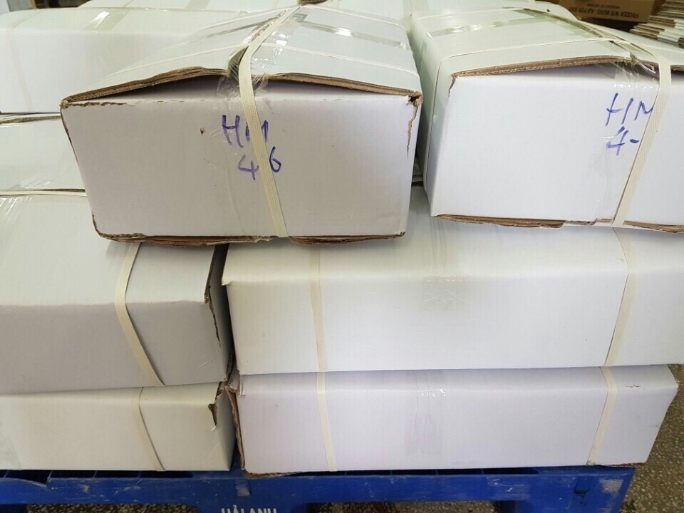Frozen Horse Mackerel / Fish From Vietnam Cheap Price