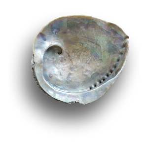 Concha de abulón artesanal hecha a mano, de mar de Vietnam - Product Image 3