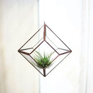 แจกันแก้วและคริสตัลสไตล์คลาสสิกใช้ในบ้านโรงแรมของตกแต่งสปาสำหรับเป็นของขวัญคริสต์มาส-เทอราเรียมและดอกไม้โลหะพร้อมโคมไฟ - Product Image 4