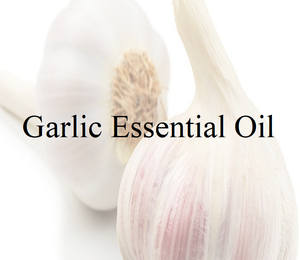 Achetez de l'huile essentielle d'ail et d'arbre à thé auprès d'une usine certifiée GMP, fabricant et grossiste d'huile d'extrait d'ail 100% naturelle - Product Image 2