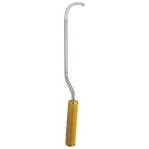 AGRIS-DINGMAN Poitrine Dissecteur, Droite, avec Échelle, 36cm - Product Image 5