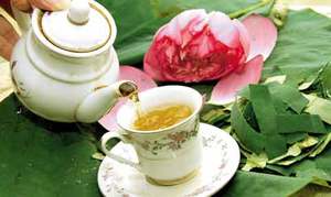 Feuilles de lotus séchées pour thé // extraits de lotus - Product Image 4