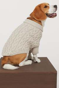 Vêtements de printemps et d'automne pour animaux de compagnie, vêtements en coton doux de haute qualité avec impression - Product Image 3