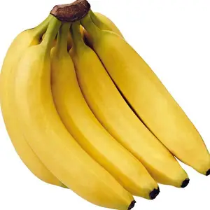 新鮮なキャベンディッシュバナナ/ムサバナナフルーツ輸出卸売高品質