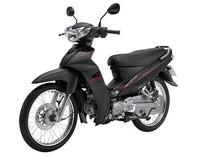 Moto électrique Fomex Group Long Range 100-150 km 48 V avec une vitesse maximale de plus de 80 km/h pour adultes