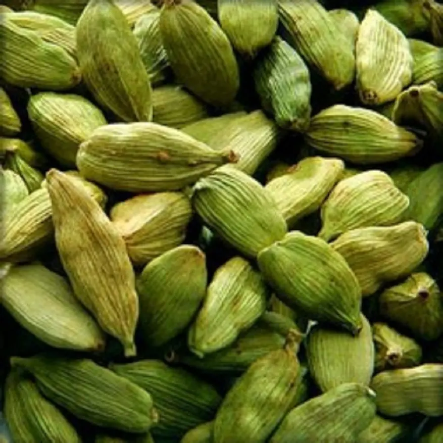 Natural cardamomo verde aceite para venta