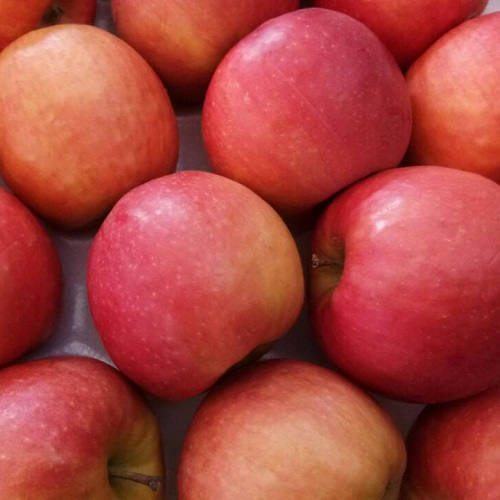 Свежие яблочные фрукты для торжества на продажу