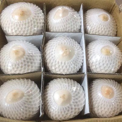 Fresh young green coconuts with high quality