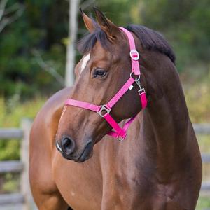 Básicos Halter suave de las correas de Nylon de gran valor de precio Halter es perfecto para el uso diario - Product Image 4