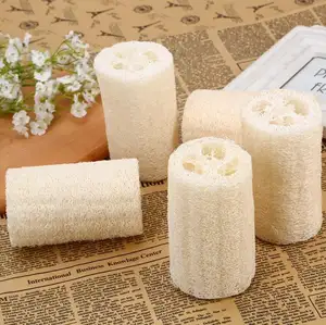 ecofriendly luffa sponge from 99 gold data 99 Gold Data