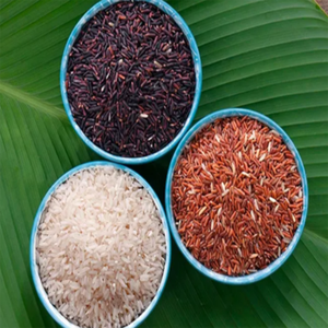 Riz brun en gros à l'exportation 5% de brisures / Exportateurs de riz du Vietnam - Product Image 4