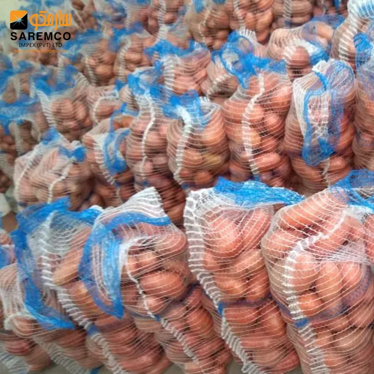 Bester Verkauf Hohe Qualität Wettbewerbs fähiger Preis Kartoffel Pakistan