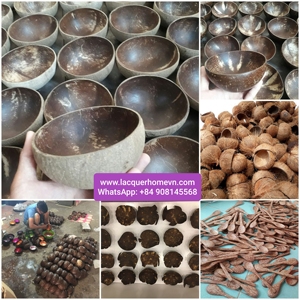Cheap Wholesale Seashell Coconut Bowls Made in Vietnam - Product Image 5