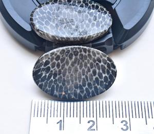 หินกระเบนพลอยคู่ Cabochon,หินฟอสซิลสีดำโมร็อกโกทรงหลวมอัญมณีทรงหลวม - Product Image 5
