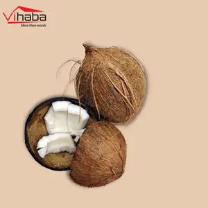 Dried Coconut Powder 2021 New Products Coco Fiber Coconut Shell Charcoal Buyers