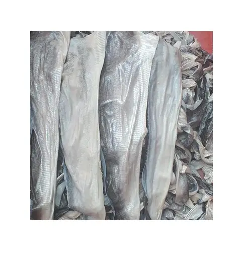 Produksi Kolagen dari Kulit Ikan Pangseharusnya Kering Di Vietnam Kualitas Tinggi Kulit Ikan Basa