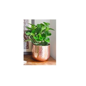 Macetero de metal fuerte para interior de plantas y flores, decoración para sala de estar, hogar, terraza, balcón y jardinería del hogar - Product Image 2