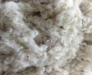 Lickerin a et B/Card Fly/Bande plate Déchets de coton Déchets textiles par Mme Claire - Product Image 4