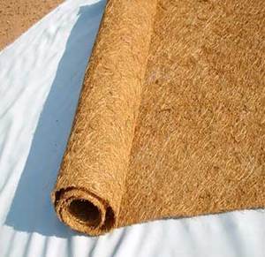 Tapis en fibre de coco naturelle indonésienne, antidérapant, imperméable, tissé, épais (0,6-1 pouce) Paillasson carré uni de couleur méditerranéenne pour hôtel et maison - Product Image 3
