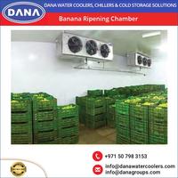 Nouvelle chambre de maturation Dana Banana, garantie 1 an, certifiée ISO/CC/IIC, 380V triphasé AC, hôtels, restaurants, commerce de détail, fabrication