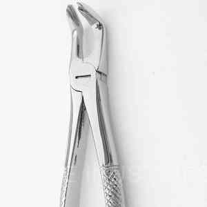 Manual #8 Steel Tooth Extracting Forceps for Lower Premolars English Pattern <b>Oral</b> <b>Therapy</b> <b>Equipment</b> - Product Image 2