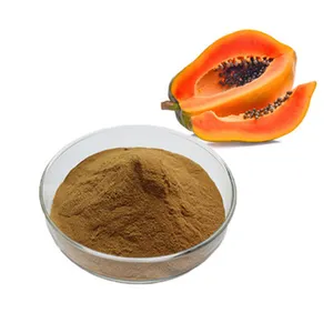 Goede Kwaliteit Private Label Best Verkopende Papaja Extract Voor Bulk Aankoop Van Indiase Exporteur