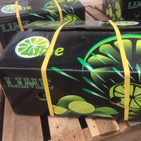 Citron frais sans pépins du Vietnam, qualité Long An, fruit d'agrumes naturel, paquet de 10 kg
