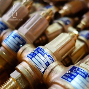 Válvula de Seguridad para Calderas de Alto Rendimiento L9SP SUS304 PTFE - Product Image 2