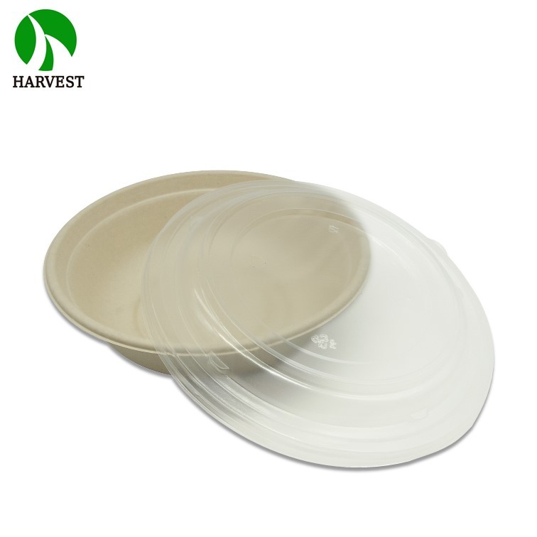 Disposable Plastic 8 12 16 24