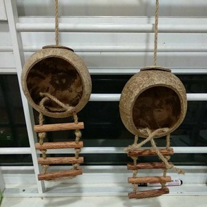 MEILLEURE VENTE COQUE DE NOIX DE COCO de haute qualité fabriquée à la main par le fournisseur du VIETNAM avec un prix bon marché - Product Image 6