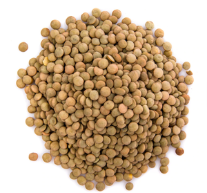 Monte Castello Lentilles conservées italiennes sans OGM 100% Agriculture Control vente en gros 500gr ou 1kg emballé en sac - Product Image 2