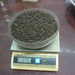 Pimienta Negra de Vietnam 580GL FAQ en Oferta, Pimienta Entera Seca, Exportación a Granel, Suministro de Fábrica al por Mayor - Product Image 1
