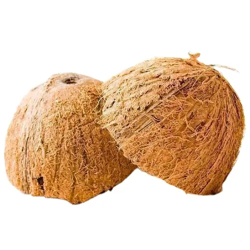 आपूर्तिकर्ता नारियल आधा गोले कच्चे नारियल के गोले अच्छी शिल्प हस्तनिर्मित और बढ़ती संयंत्र के लिए