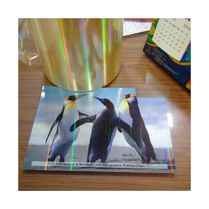 ฟิล์มโพลีเอสเตอร์โปร่งใสโฮโลแกรมสะท้อนแสงจากอินเดีย - Product Image 1