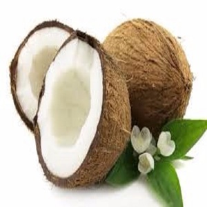 High Quality Semi Husk <strong>Matured</strong> <strong>Coconut</strong> Ready - Product Image 2