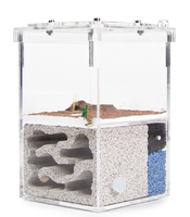 Maison d'éléphants classique en plastique transparent confortable et écologique, accessoires et fournitures pour fourmis, 9x9x14cm, toutes saisons