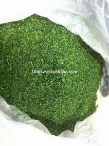 ผงสาหร่ายสีเขียวอบแห้ง/ผงสาหร่าย - Product Image 5