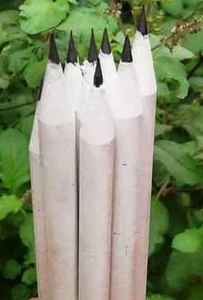 Lápices gratis de madera hechos a medida también disponibles con impresión de logotipo personalizado adecuado para escuelas, para promociones y regalos - Product Image 6