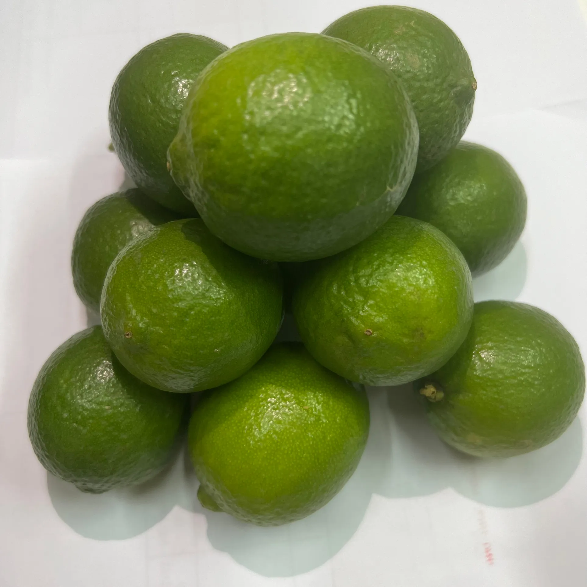 Buah Jeruk Lemon Hijau Segar dari Vietnam Grosir untuk Limau Segar dengan Kualitas Tinggi // Andrew + 84 353991115
