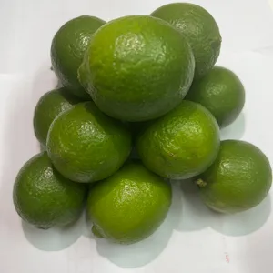 Resh-fruta cítrica Reen emon de ietnar holesale, para Lima fresca de alta calidad
