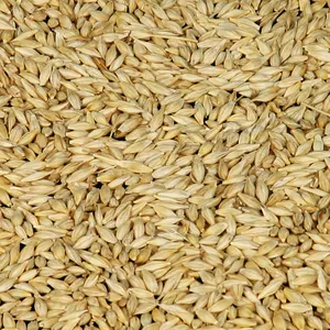 barley for animal feed ukraine