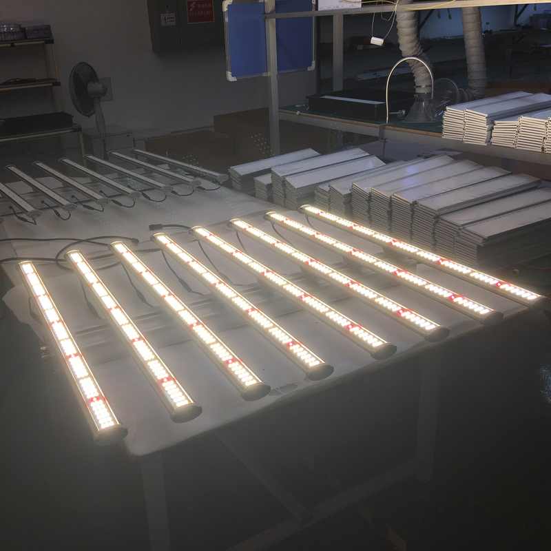 Led Grow Lighting Control High Ppfd