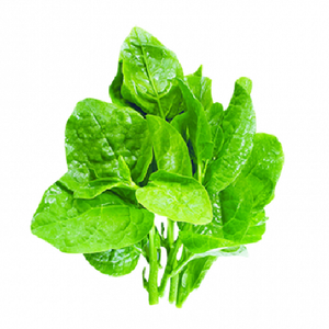 Épinards entiers surgelés - Product Image 1
