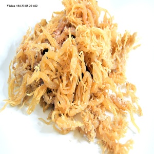 Mousse de mer de haute qualité/eucheuma cottonii/algues salées/Katty - Product Image 2