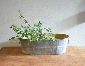 High Quality Galvanized <b>Metal</b> <b>Bucket</b> New Style Galvanized Tub Planter with Handle Home Decoration - Product Image 1