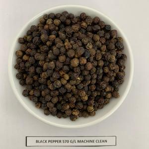 พริกไทยดำเวียดนามมาตรฐาน 570GL MC ASTA รสเผ็ด แห้ง ดิบ พร้อม +8436 3565 928 - Product Image 2