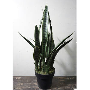 <span class=keywords><strong>Planta</strong></span> Artificial <span class=keywords><strong>de</strong></span> Interior, Bonsái <span class=keywords><strong>de</strong></span> Plástico, <span class=keywords><strong>Planta</strong></span> <span class=keywords><strong>Serpiente</strong></span>/Sansevieria/Agave, Ecológica, Duradera, Sin Necesidad <span class=keywords><strong>de</strong></span> Cuidado - Product Image 2