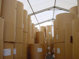 Papier kraft 100% naturel double face, enduit pe, en pâte de bois vierge - Product Image 3