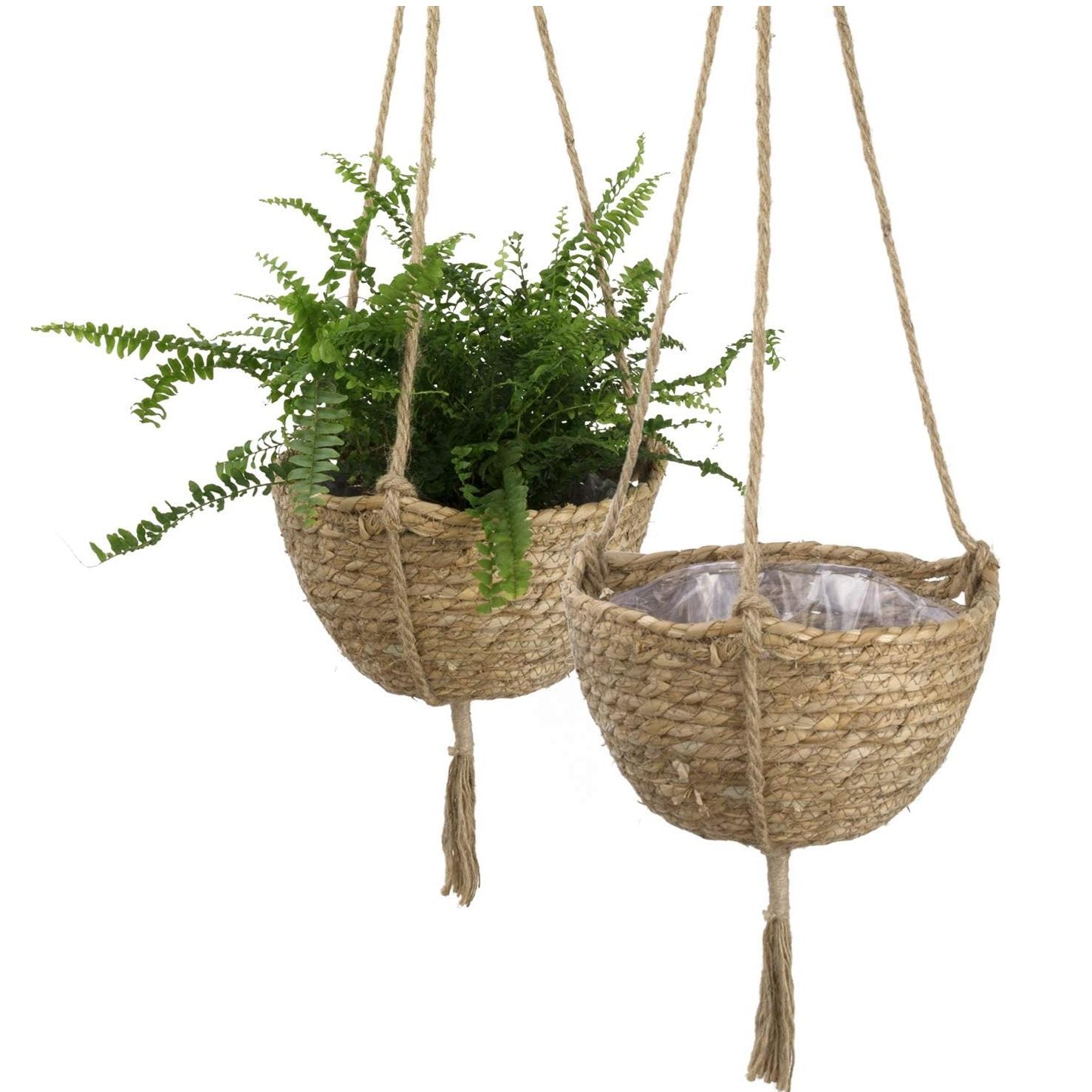 ธรรมชาติ